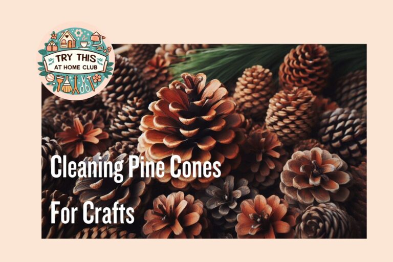 How to Clean Pine Cones for Crafts