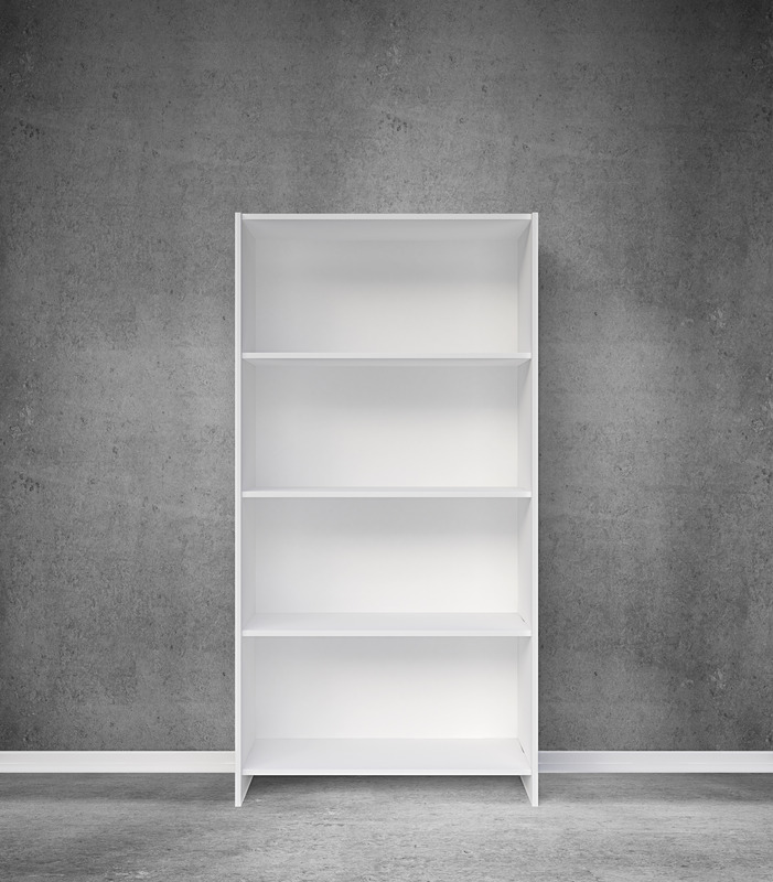 bookshelf painting