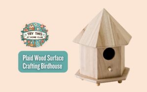 Plaid Wood Surface Crafting Birdhouse Review - Create Unique Gifts