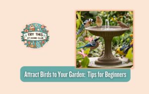 Attract Birds to Your Garden: Tips for Beginners