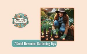 7 Quick November Gardening Tips for beginners